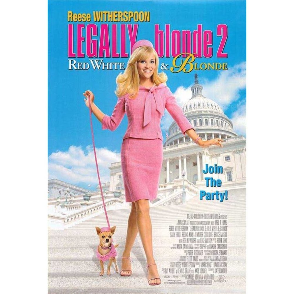 💕NWT Adorable Elle Woods Legally Blonde 2 Halloween Costume - Picture 6 of 8
